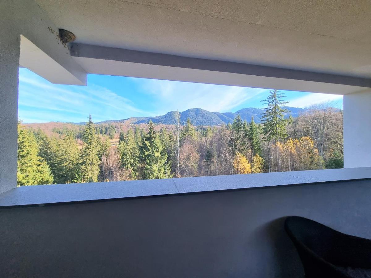 Maio Studio Silver Mountain Пояна-Брашов Екстер'єр фото