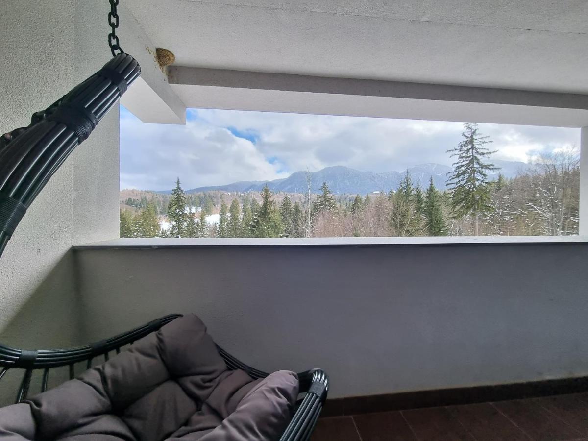 Maio Studio Silver Mountain Пояна-Брашов Екстер'єр фото